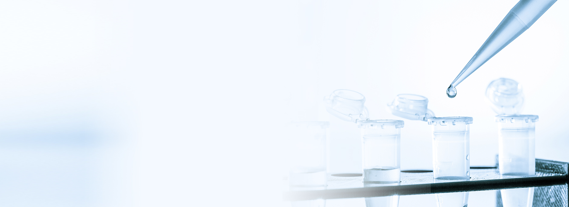 bwin����Ӯ(�й�)Ψһ�ٷ���վ